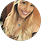 Sara Alaimo